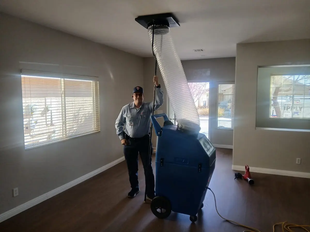 Professional Dryer Vent Cleaning work inside a Bartow home